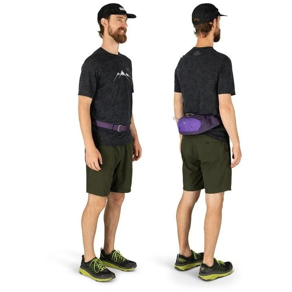 Daylite Waist Pack